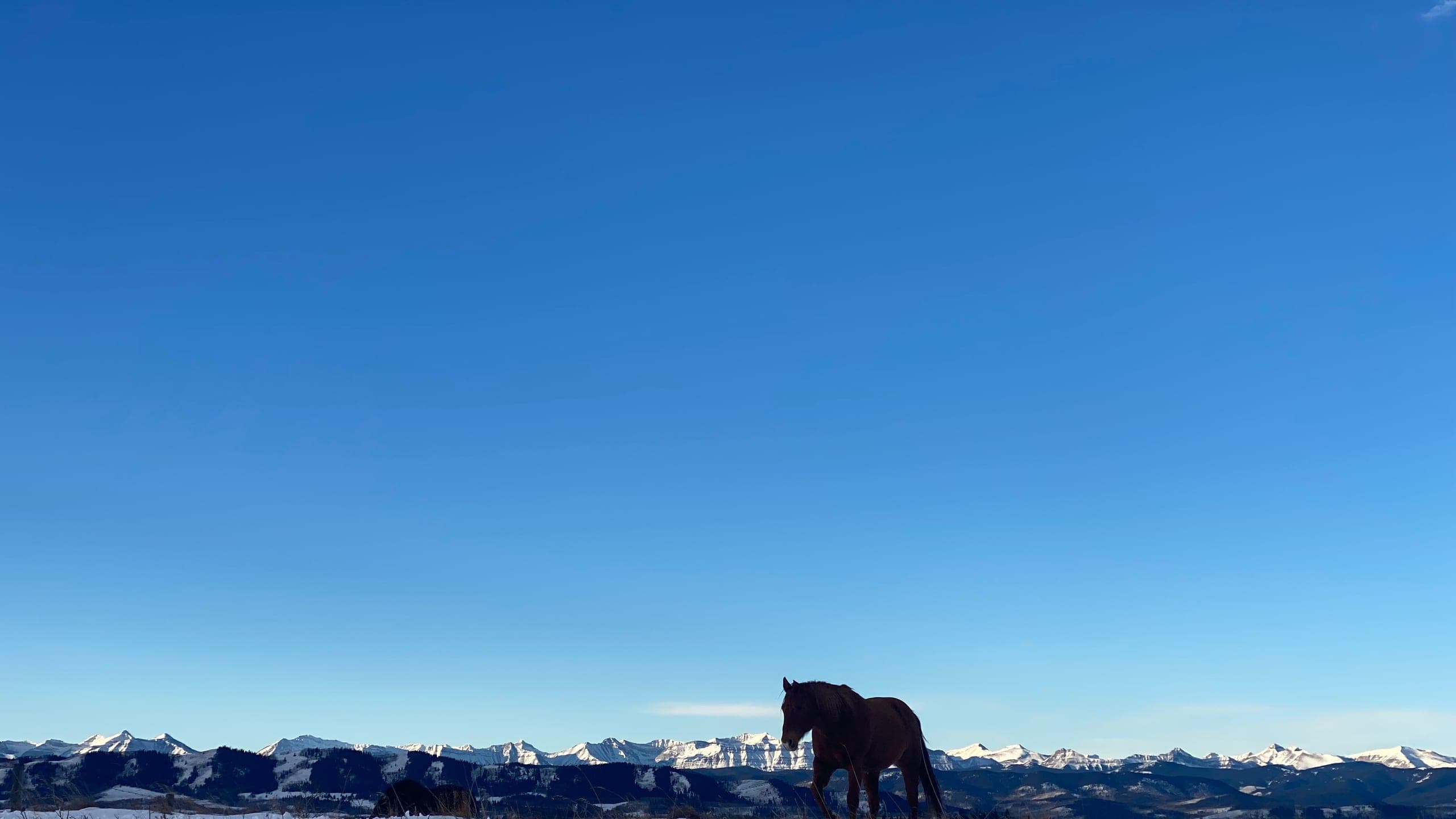 Alberta foothills at golden hour